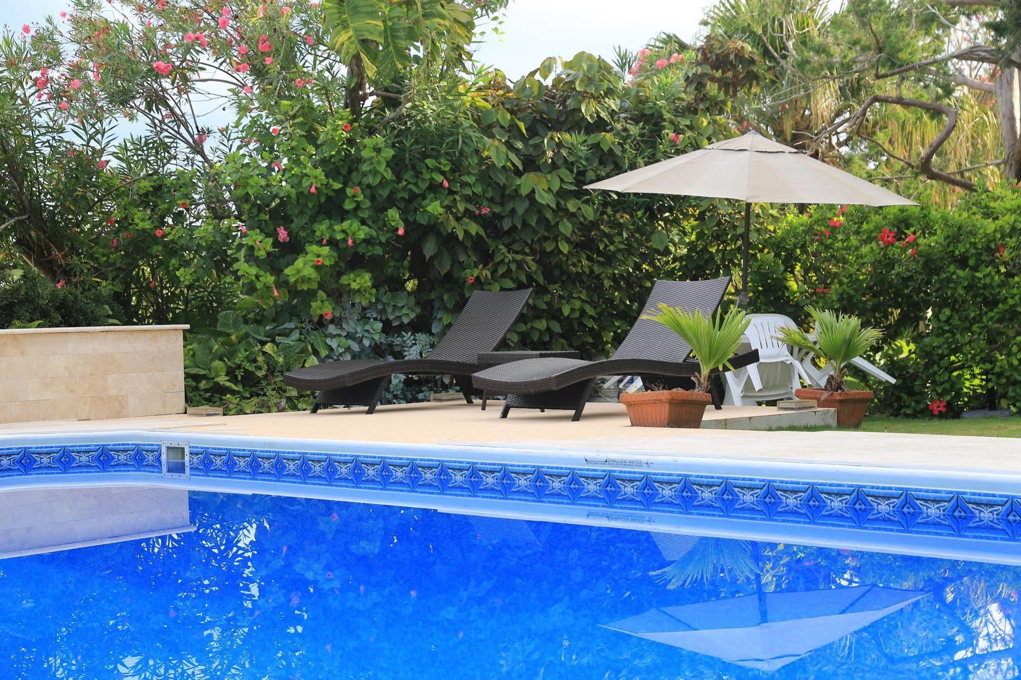 Edgehill Manor Guest House Hamilton City Ngoại thất bức ảnh